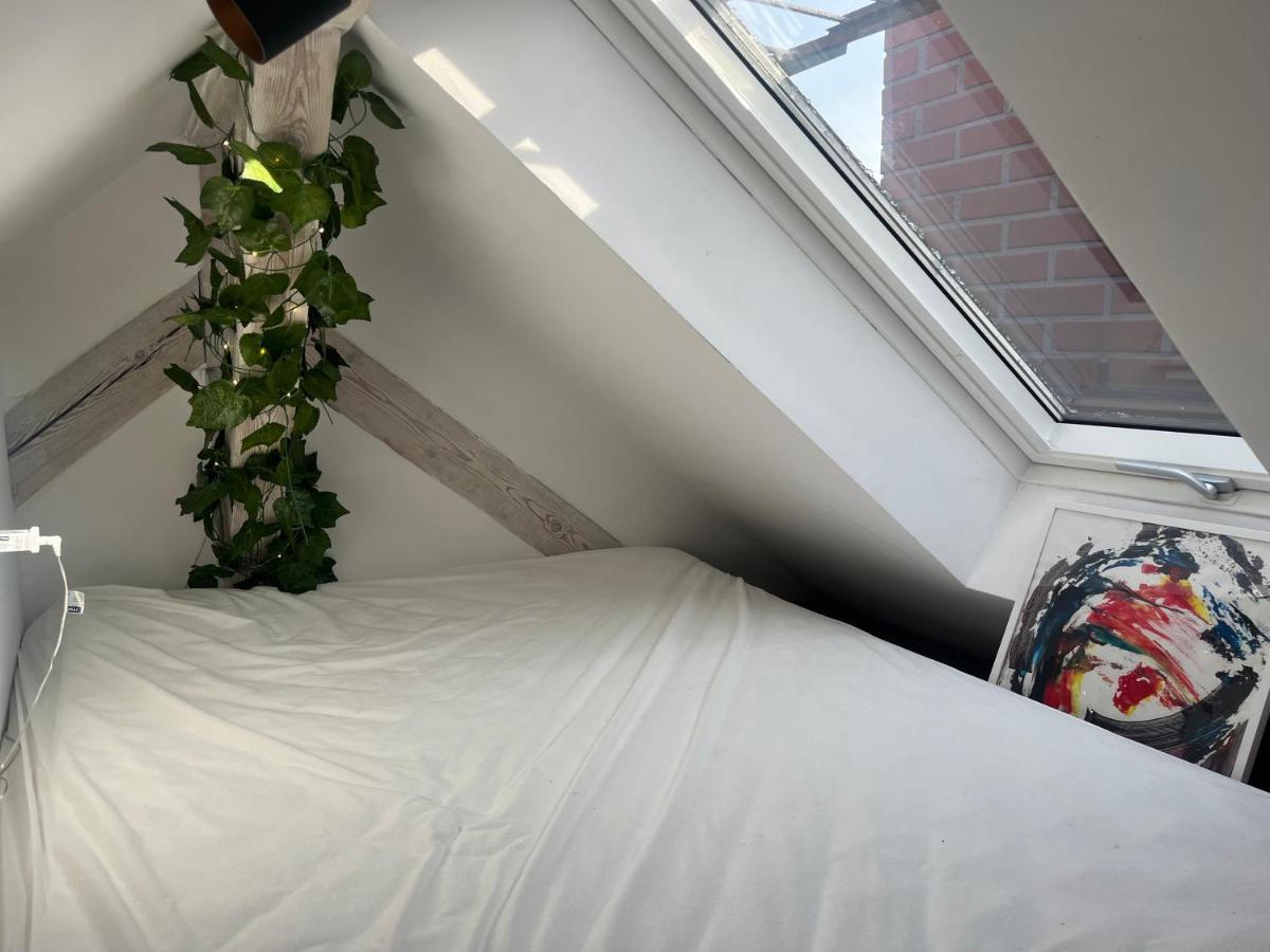 Attic Appart Торунь Экстерьер фото